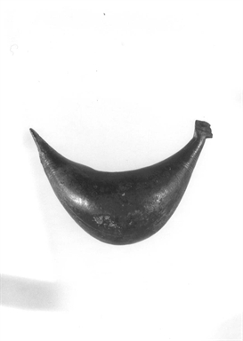 fibula a sanguisuga/ arco